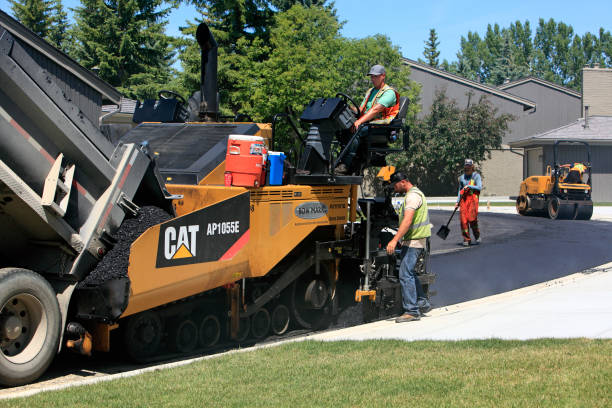 Best Residential Driveway Paver Services  in Agler Beach, FL
