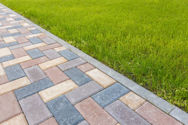 Best Professional Driveway Pavers  in Agler Beach, FL